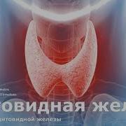 Саблиминал Нормализация Гормонов