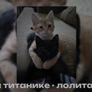 На Титанике Speed Up