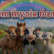 Төрт Түлік Әні