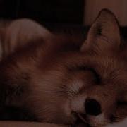 Саблиминал Голубые Глаза Бонус