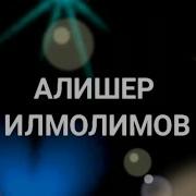 Алишер Илмолимов Кушиклари