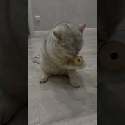 Так Вкусненько Ам Ням Нямочки