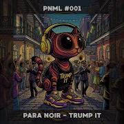 Trump It Extended Para Noir