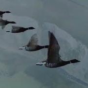 Турнахо Эй Турнахо