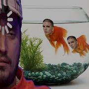 Хочу Здесь Аквариум Поставить