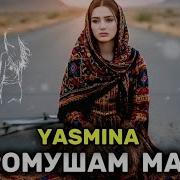 Ясмина Парво Макун