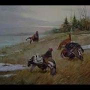 Виа Орион Глухари