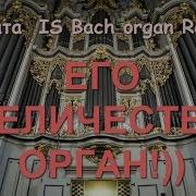 Бах Органная Музыка Лучшее