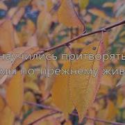 Мы Научились Претворяться