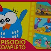 Gallina Pintadita 26