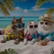 Neurocat