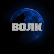 Волк Тестостерович
