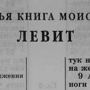Левит Александр Бондаренко