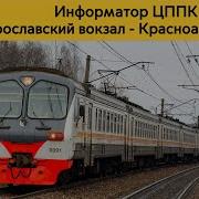 Цппк Информатор