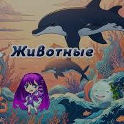 Аудиоэнциклопедия Для Детей