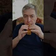 Наигрыши На Дудке Осень