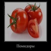 Помидоры Мем Тик Ток