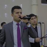 Buxorocha Bidir Bidir