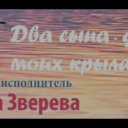 Песня Про Сыновей Двойняшек