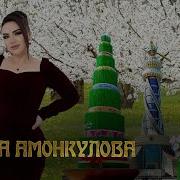 Навруз Медарояд