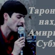 Амиршоҳи Субҳон Туёна