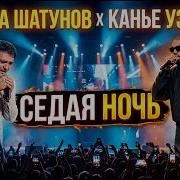 Silver Night Седая Ночь Dj Shoxi Ai Cover