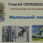 Маленький Лесовод