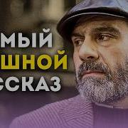 Аудиокниги Юмор