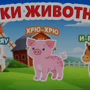 Песни О Животных