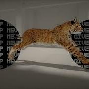 Royal Deluxe Fighter