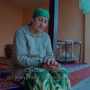 Дарахти Дусти