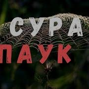 Сура Анкабут