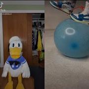 Donald Ducc Tiktok Reaction