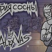 Растёт Сосна