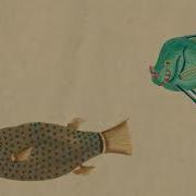 Come Along Cosmo Sheldrake