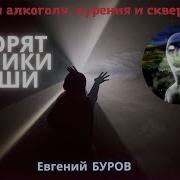 Хроники Сущностей