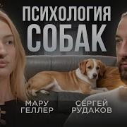 Психология Собаки