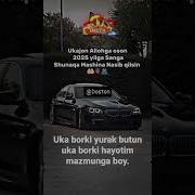 Укажоним Тугулгае Кунинг Мубарак Бусин