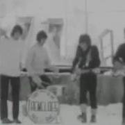 Группа The Tremeloes
