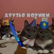 Вставай Kotiynet