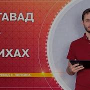 Бхагават Гита Липкина