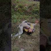 Полет Гусей 1995