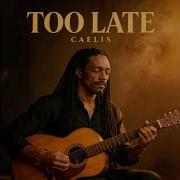 Caelis The Silence He Created