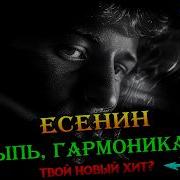 Wps Sdp С Есенин Сыпь Гармоника Скука Скука