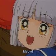 Neko Neko 1972