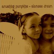 Luna Chatluge Instrumental