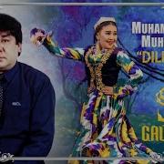 Мархабо Дилрабо