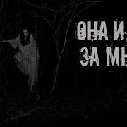 Страшные Истории На Ночь