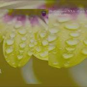 Catch A Fall Alexandre Moses Extended Mix