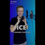 Песня Айс Разными Голосами